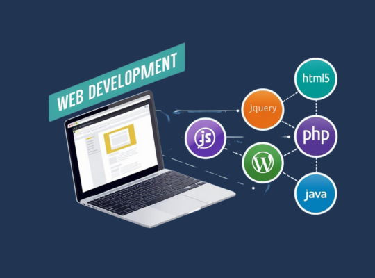 website development company in noida, website development company